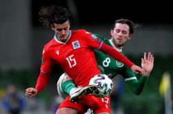 开云体育登录-卢森堡队主场击败斯洛文尼亚收获胜利