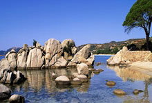 开云体育中国-设计精准策略技术发挥亮眼